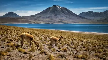 Chile z Atacamą, Boliwia, Peru - 16 dni