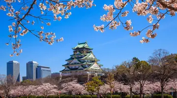 Chiny i Japonia - dwa oblicza orientu