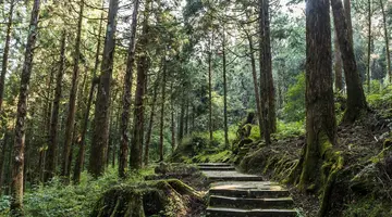 Chiny i Tajwan - Zwaśnieni Bracia