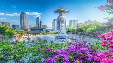 Chiny, Korea Południowa, Japonia - Trzy tygrysy Azji 2025