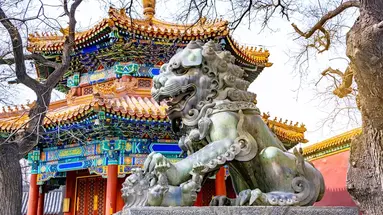 Chiny - Trasa Prezydencka - 18 dni