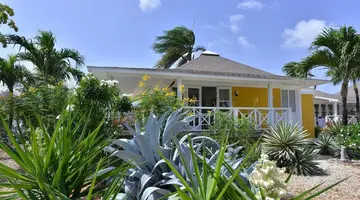Chogogo Dive & Beach Resort Curacao