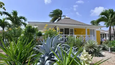 Chogogo Dive & Beach Resort Curacao
