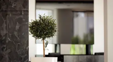 Christofinia Hotel