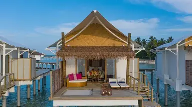Cinnamon Hakuraa Huraa