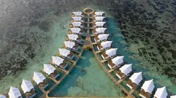 Cinnamon Hakuraa Huraa