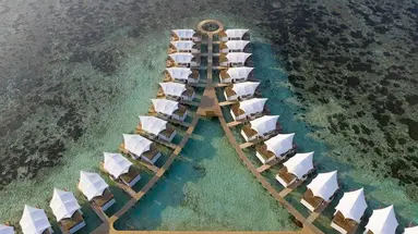 Cinnamon Hakuraa Huraa