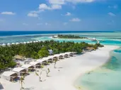Cinnamon Hakuraa Huraa