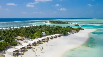 Cinnamon Hakuraa Huraa