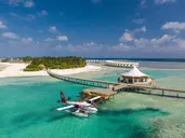 Cinnamon Hakuraa Huraa