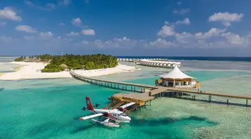Cinnamon Hakuraa Huraa