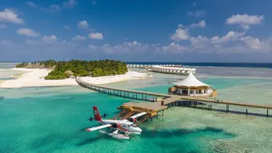 Cinnamon Hakuraa Huraa
