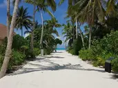 Cinnamon Velifushi Maledives