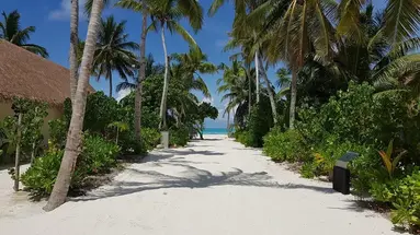 Cinnamon Velifushi Maledives