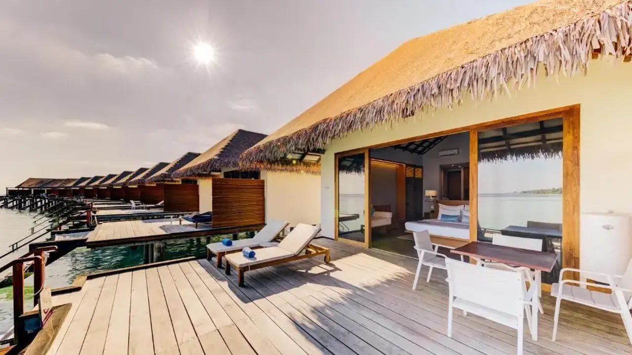 Cinnamon Velifushi