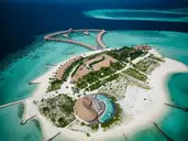 Cinnamon Velifushi