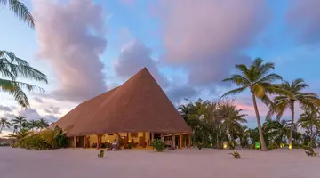 Cinnamon Velifushi