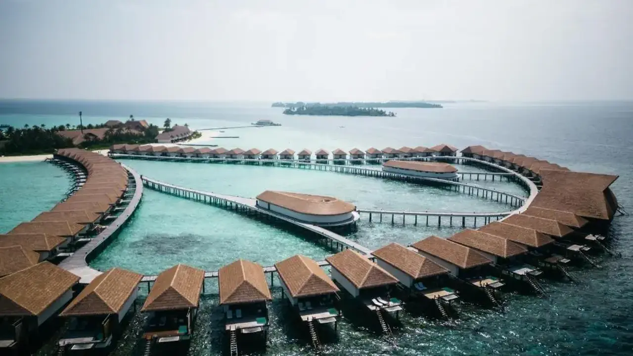 Cinnamon Velifushi