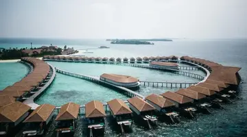 Cinnamon Velifushi