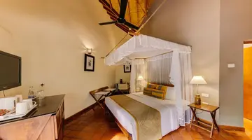 Cinnamon Wild Yala