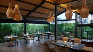 Cinnamon Wild Yala