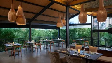 Cinnamon Wild Yala