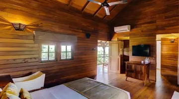 Cinnamon Wild Yala