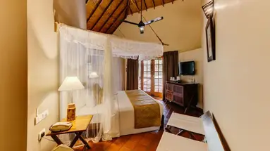 Cinnamon Wild Yala