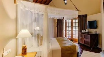 Cinnamon Wild Yala