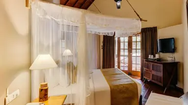 Cinnamon Wild Yala