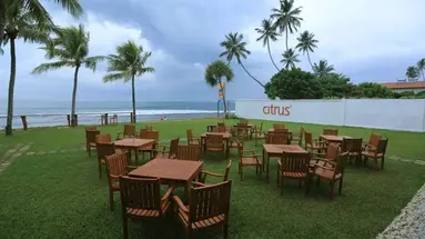Citrus Hikkaduwa