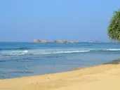 Citrus Hikkaduwa
