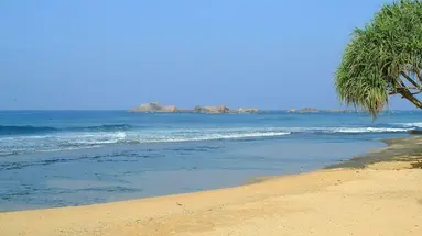 Citrus Hikkaduwa
