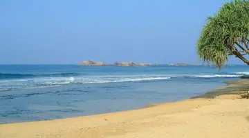 Citrus Hikkaduwa