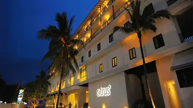 CITRUS HIKKADUWA