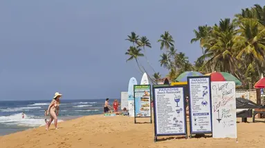 CITRUS HIKKADUWA