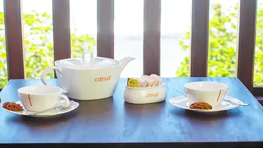 CITRUS HIKKADUWA