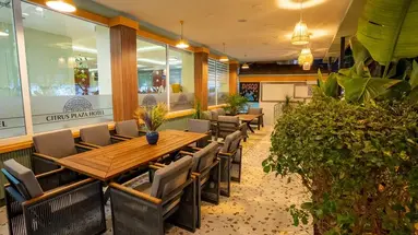 Citrus Plaza (ex. Artemis Princess)