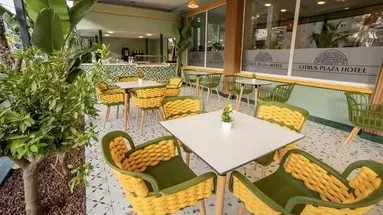 Citrus Plaza (ex. Artemis Princess)