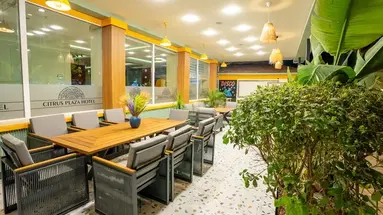 Citrus Plaza (ex. Artemis Princess)
