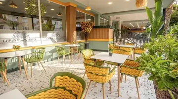 Citrus Plaza (ex. Artemis Princess)