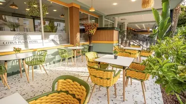 Citrus Plaza (ex. Artemis Princess)