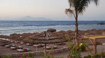 CLEOPATRA LUXURY RESORT SHARM ADULTS ONLY (+16)