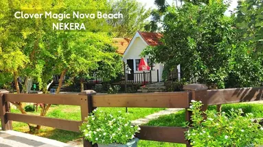 CLOVER MAGIC NOVA BEACH