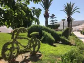 Club Al Moggar Garden Beach