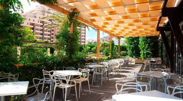 Club Amarilis