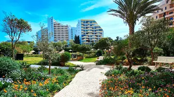 Club Amarilis