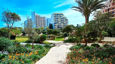 Club Amarilis