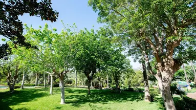 CLUB CALA ROMANI