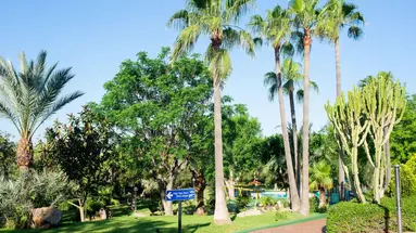 CLUB CALA ROMANI